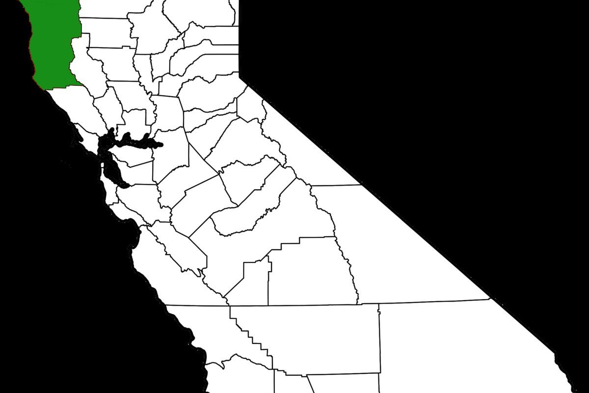 Northern California redwood-shaded harvest table in late afternoon light